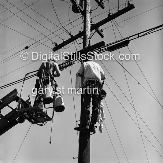 Up on the telephone pole, black and white analog groups