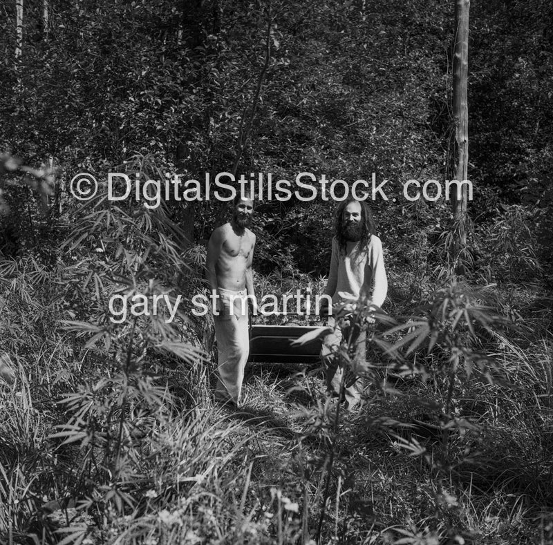 hippies in a pot field