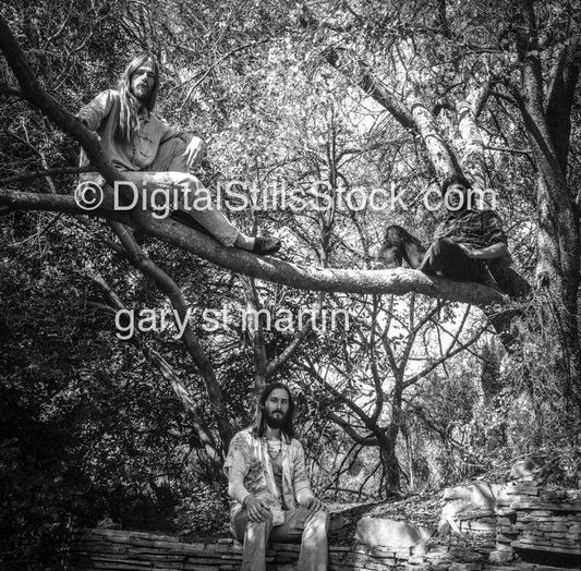 Gary and His Tree Hugger Friends