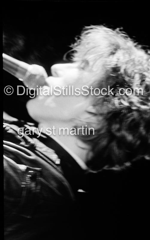 Psychedelic Furs Close to the microphone