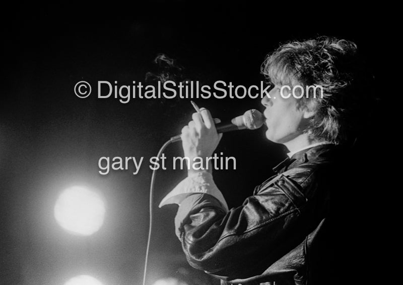 Psychedelic Furs Microphone in Hand