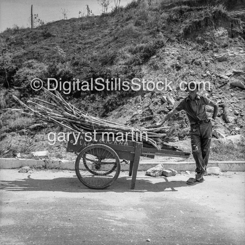 Man with Sugar Cane