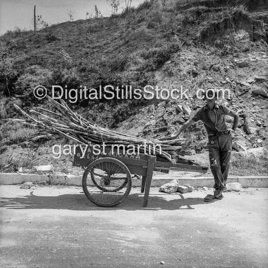 Man with Sugar Cane