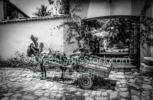 Burro and Cart Brazil in the 80s