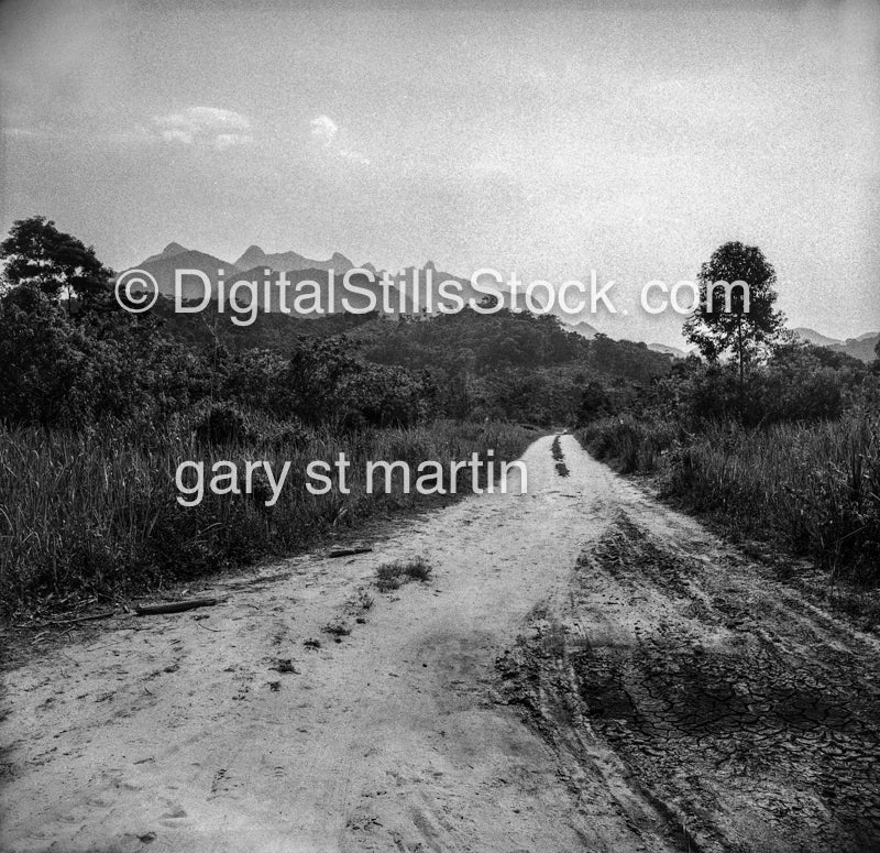 road to nowhere Brazil 