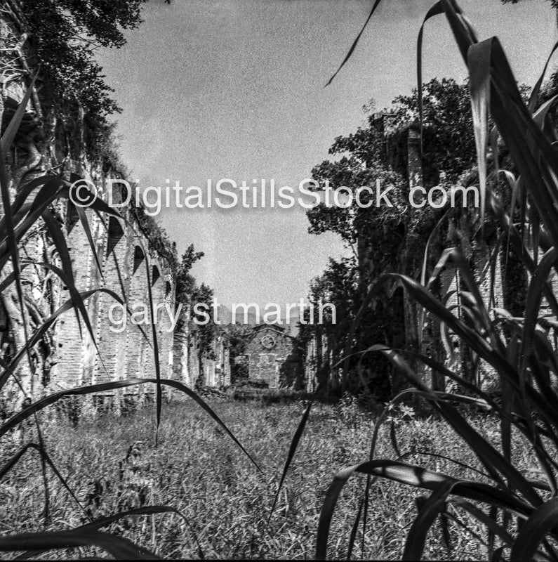 abandoned sugar plantation