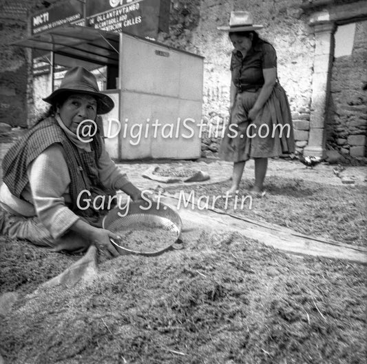 Two woman Harvesting, Analog, B&W, Peru