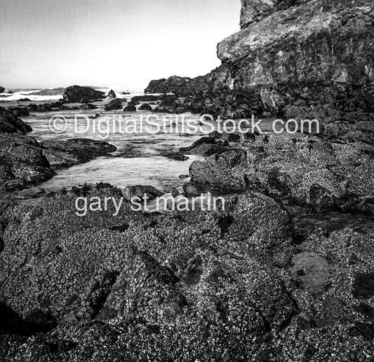 Rocks along the shore, Big Sir, California, Black and White Scenery