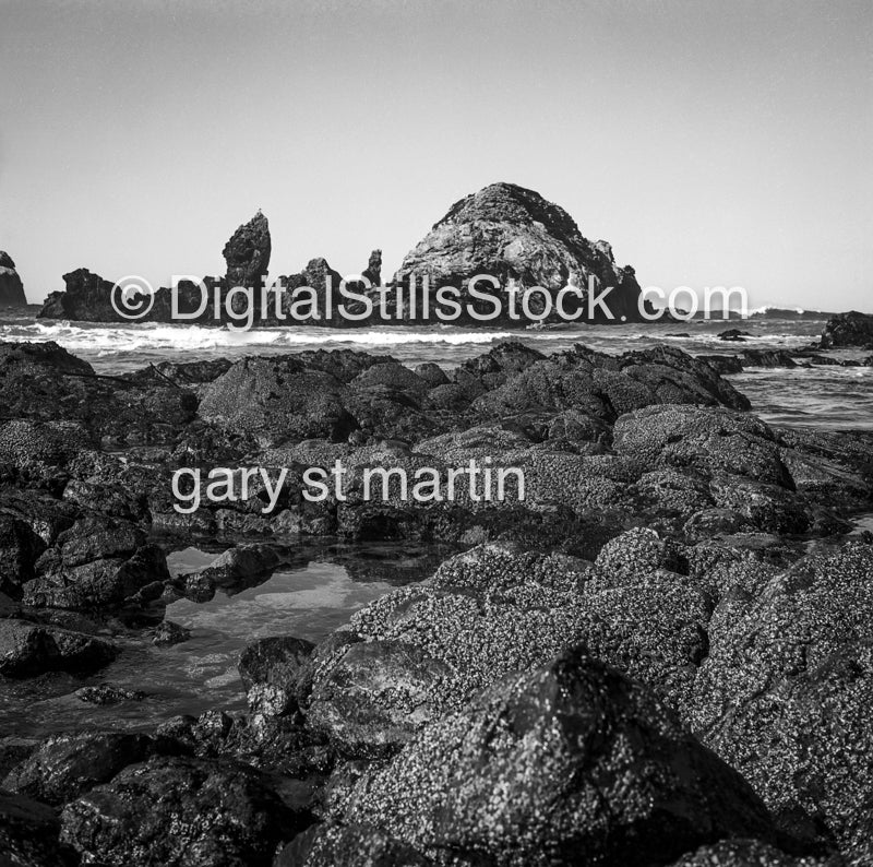 Sphinx along the shore, Big Sir, California, analog, scenery, black and white