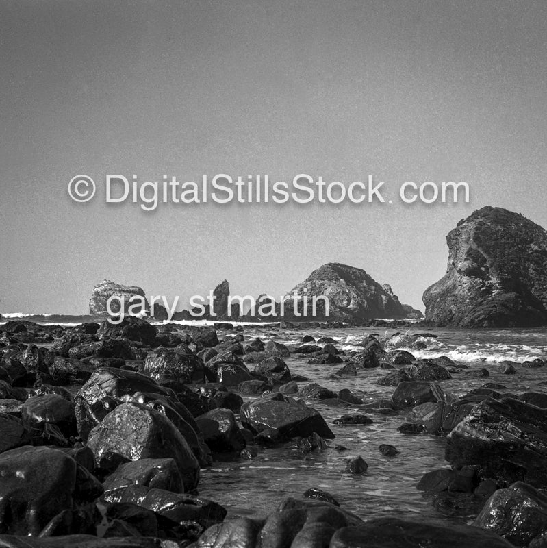 Wider View Sphinx along the shore, Big Sir, California, analog, scenery, black and white