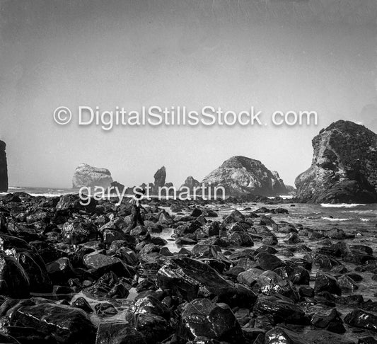 Rocky Shore, Big Sur, California , analog scenery