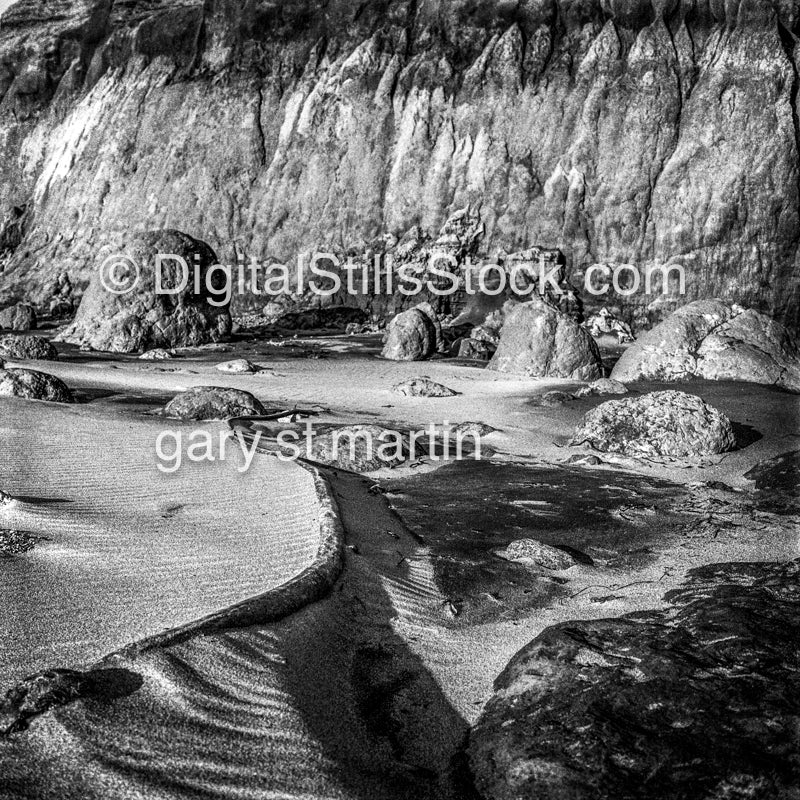 Winding sand, Northern California, analog, scenery, black and white