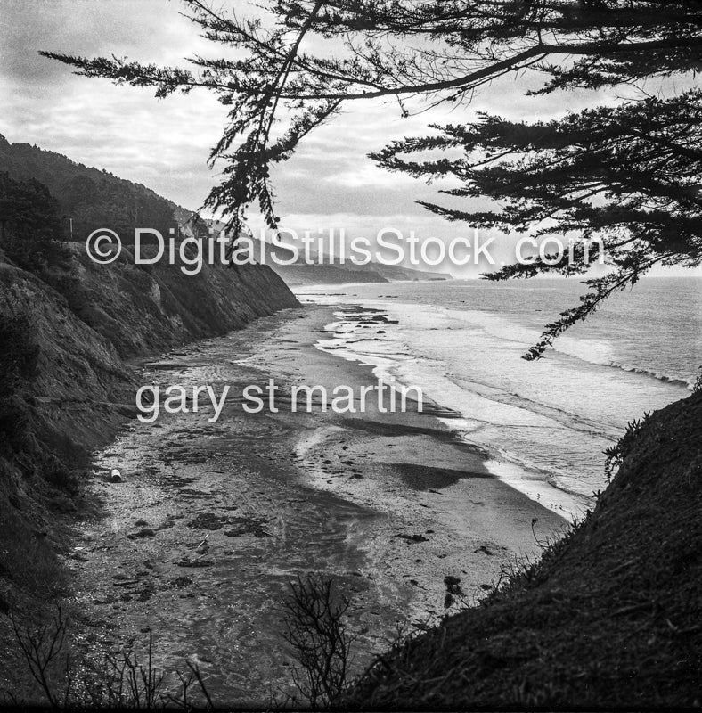 View of the beach through the trees in Pacifica, California, analog scenery