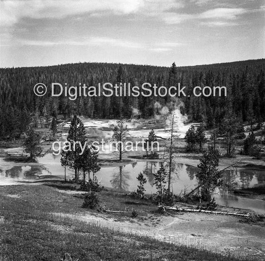 Geysers at Yellowstone National Park, analog scenery