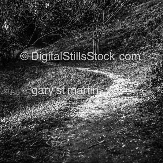 Follow the Path, Sonoma County, California, analog scenery