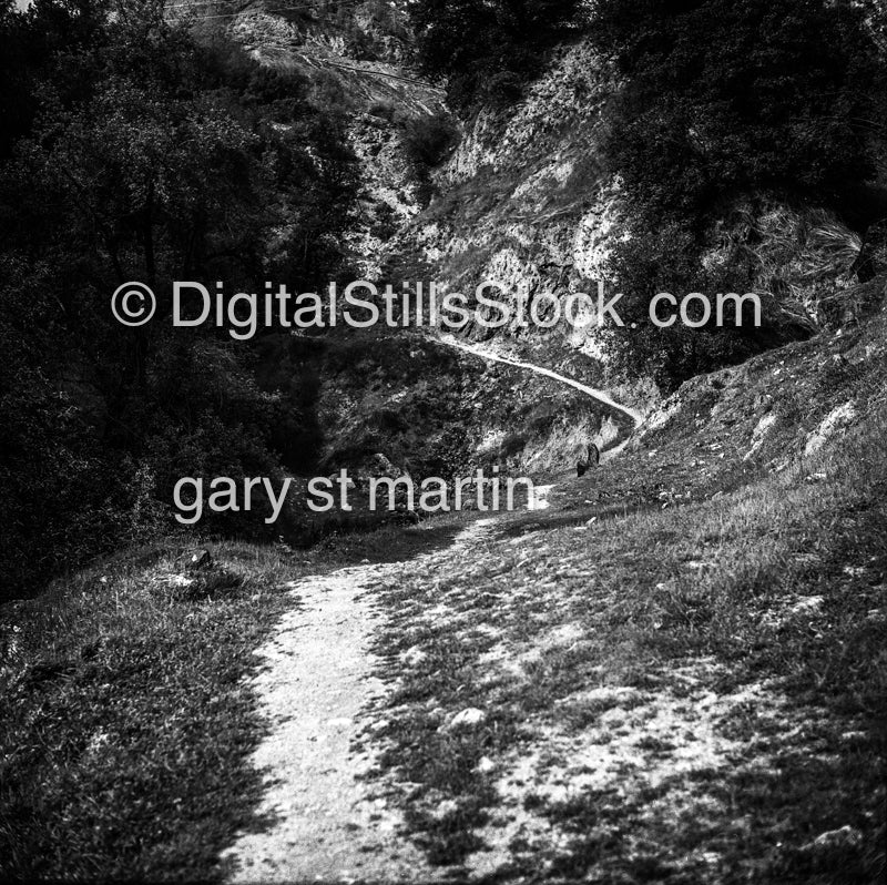 Walking along the path in Sonoma County, California, analog scenery