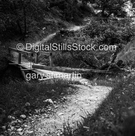 Little wooden bridge in Sonoma County, California, analog scenery