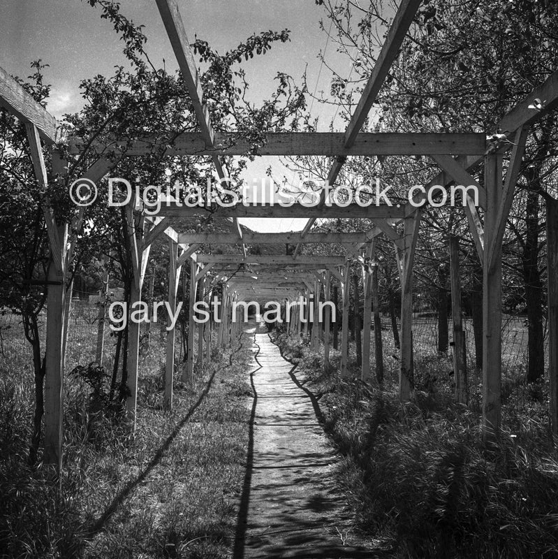 See through tunnel, Dr. Bernard Jensen's Ranch in California  analog scenery