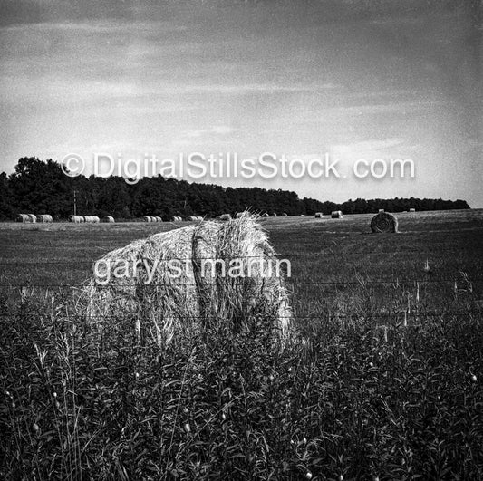 Bales of hay, analog scenery