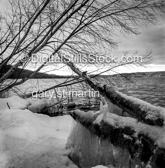 Fallen Snow at Lake Superior, Michigan, analog scenery