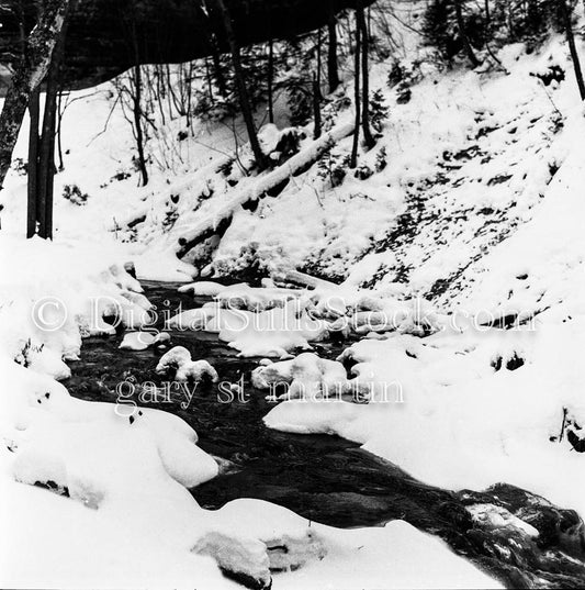 Stream Along Snow-filled Forest