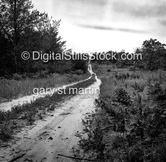 Dirt road in Munising, Michigan, analog scenery