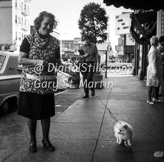 walking the dog polk street