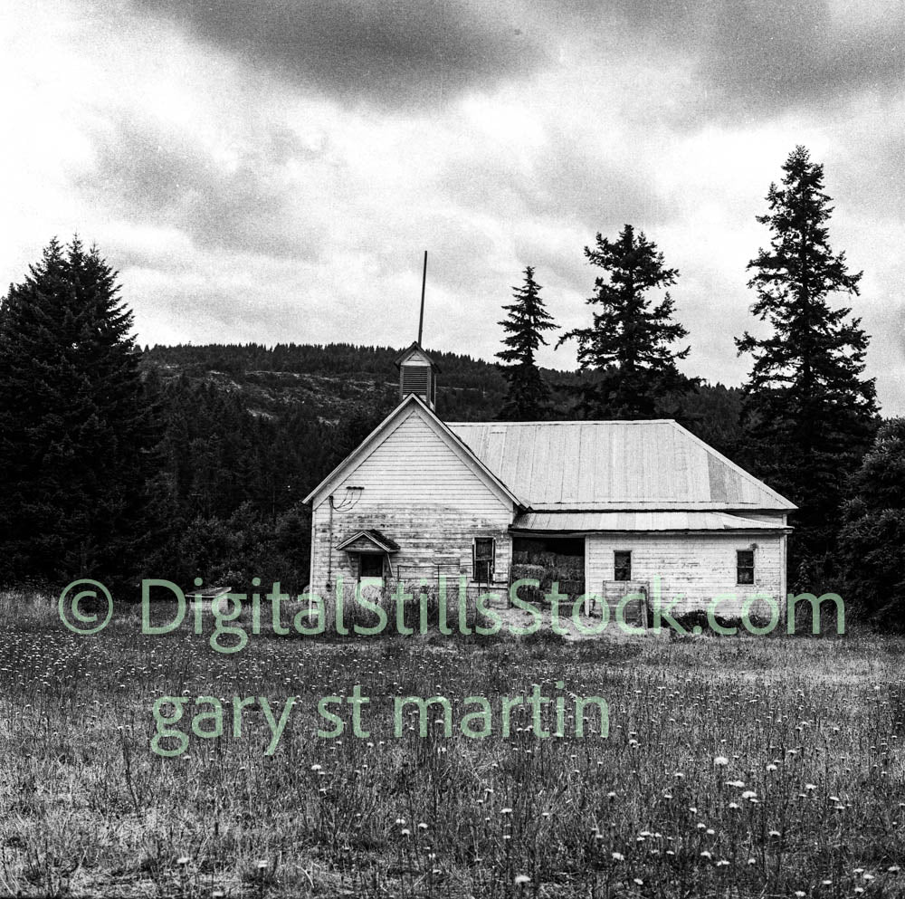 House in a Field, analog, black and white, oddities