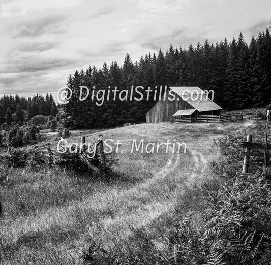Oregon Farm Structure, Analog, Oddities, Black and White
