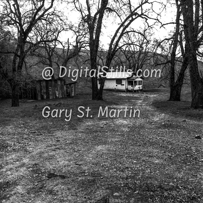 House in an opening, Oregon, Black & White, Oddities