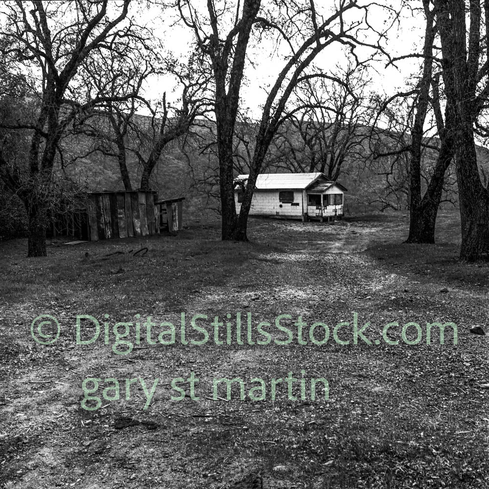 House in an opening, Oregon, analog, black and white, oddities