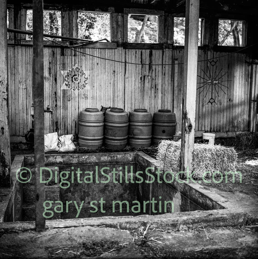 Geyserville, North of San Francisco,analog, black and white, oddities