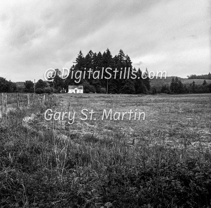 Lone house in a field, Veneta, Oregon, Black & White, Oddities