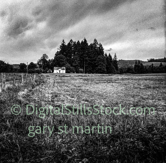 Lone house in a field, Veneta, Oregon, analog, black and white, oddities