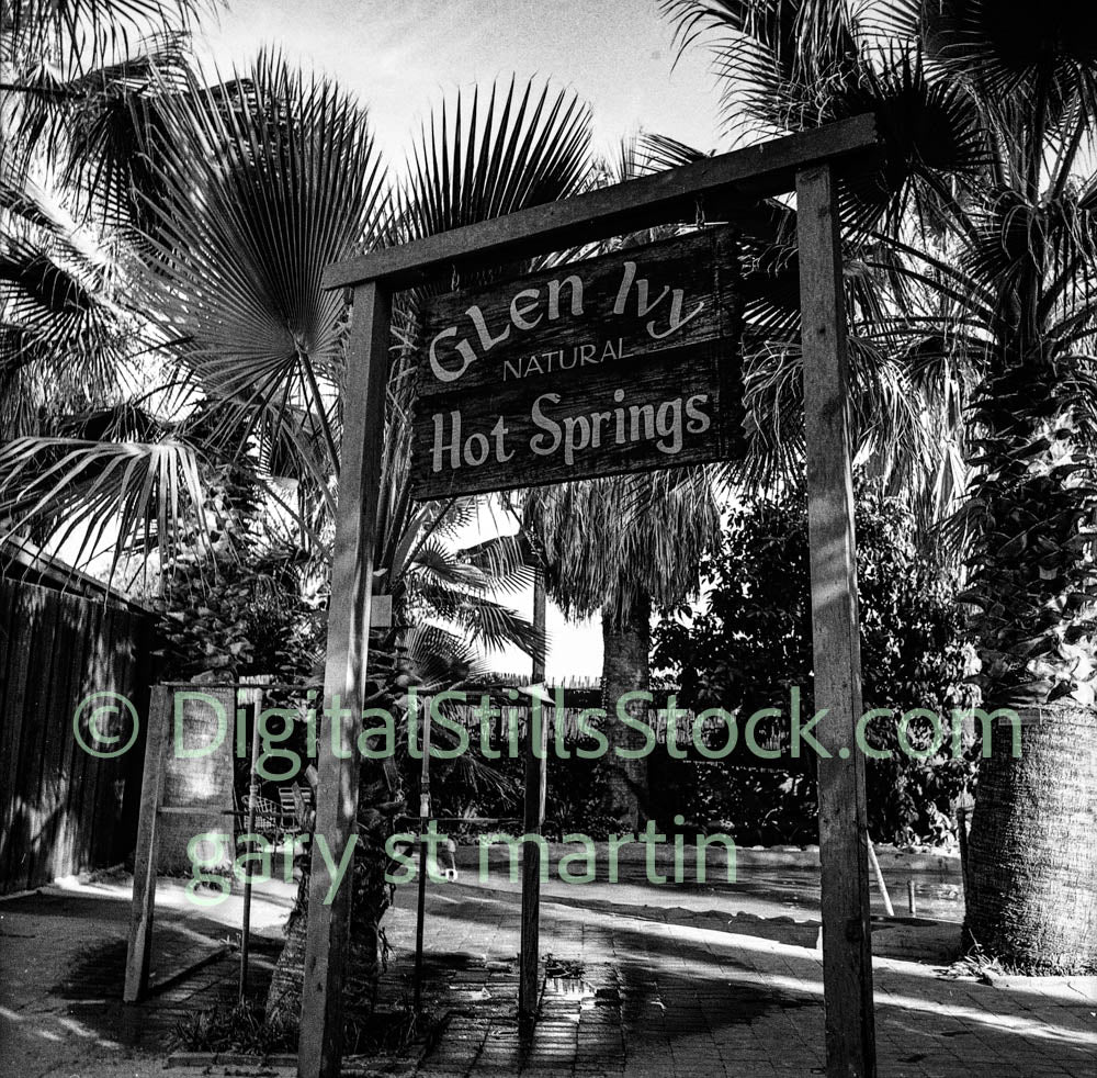 Glen Ivy Hot Springs, analog, black and white, oddities