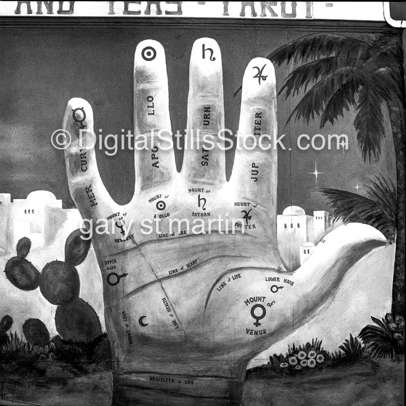 The Palm, Tarot Reader, San Francisco, CA, Black & White, Oddities