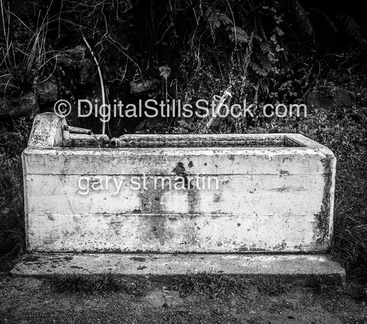House Trough, Analog, Color, Oddities