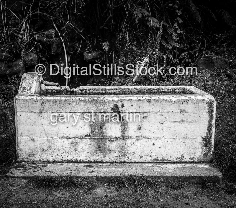 Horse Trough, Hearst Castle San Simeon, CA , Black & White, Oddities