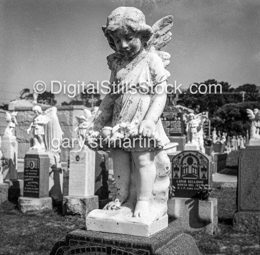 Cupid, Graveyard,, the Bay Area, Black & White, Oddities