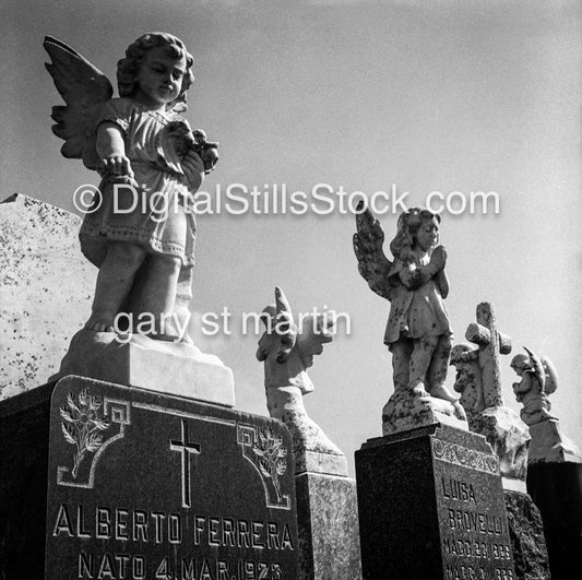 Angels lined up, Graveyard,, the Bay Area, Black & White, Oddities