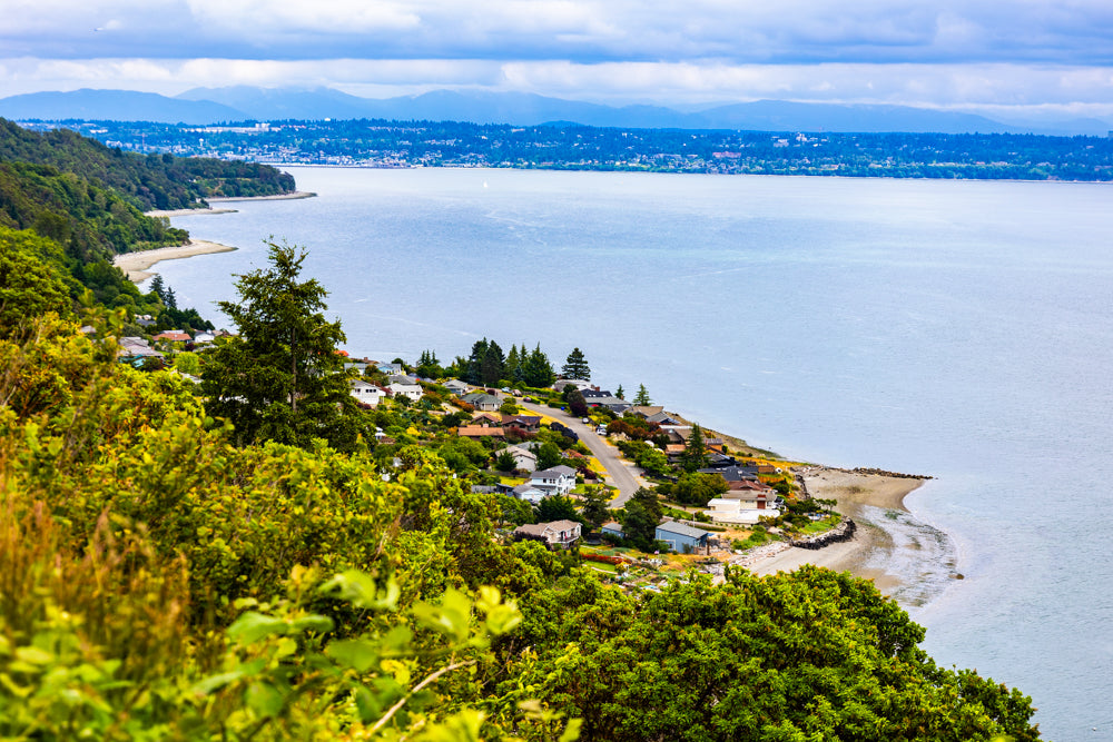 Scenic View of a Coastal Town - Vashon Island, digital Vashon Island 