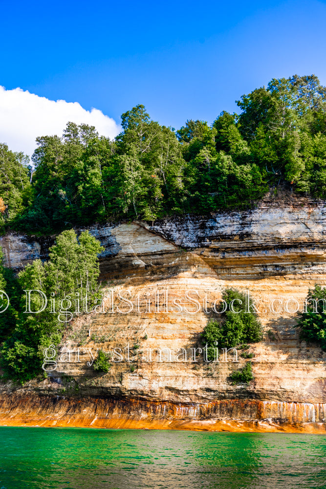 Cliffside full of trees, digital Munising