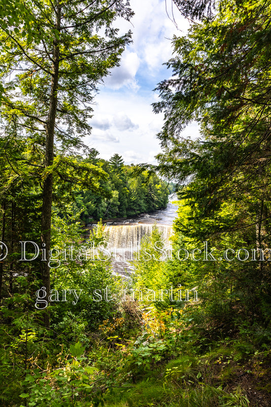 Portrait View of Tahquamenon Falls Surrounded By Trees, digital tahquamenon falls