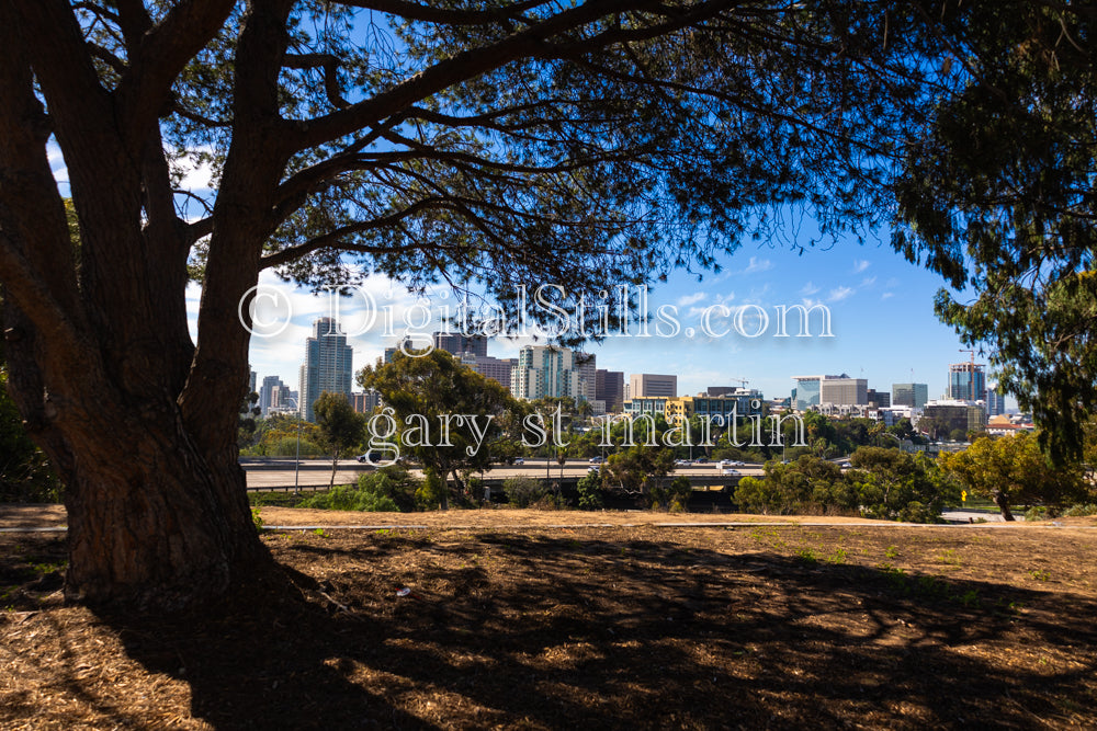 View Downtown, Balboa Park, digital