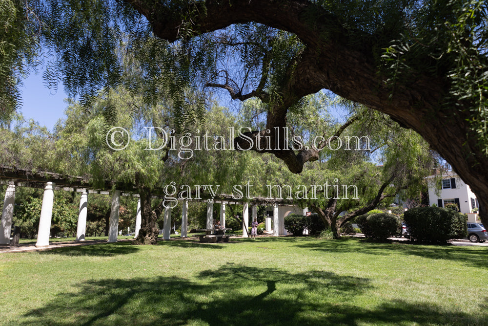 View of the lawn of the Junipero Serra Mission, digital Junipero Serra