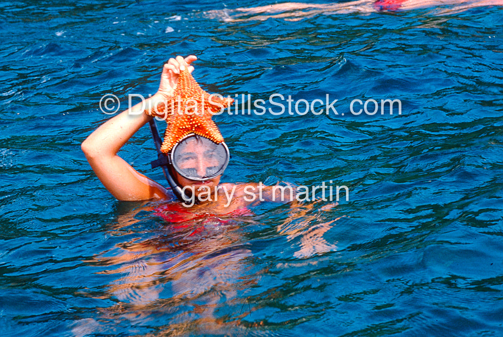 Starfish Snorkeling, Analog, Color, Brazil