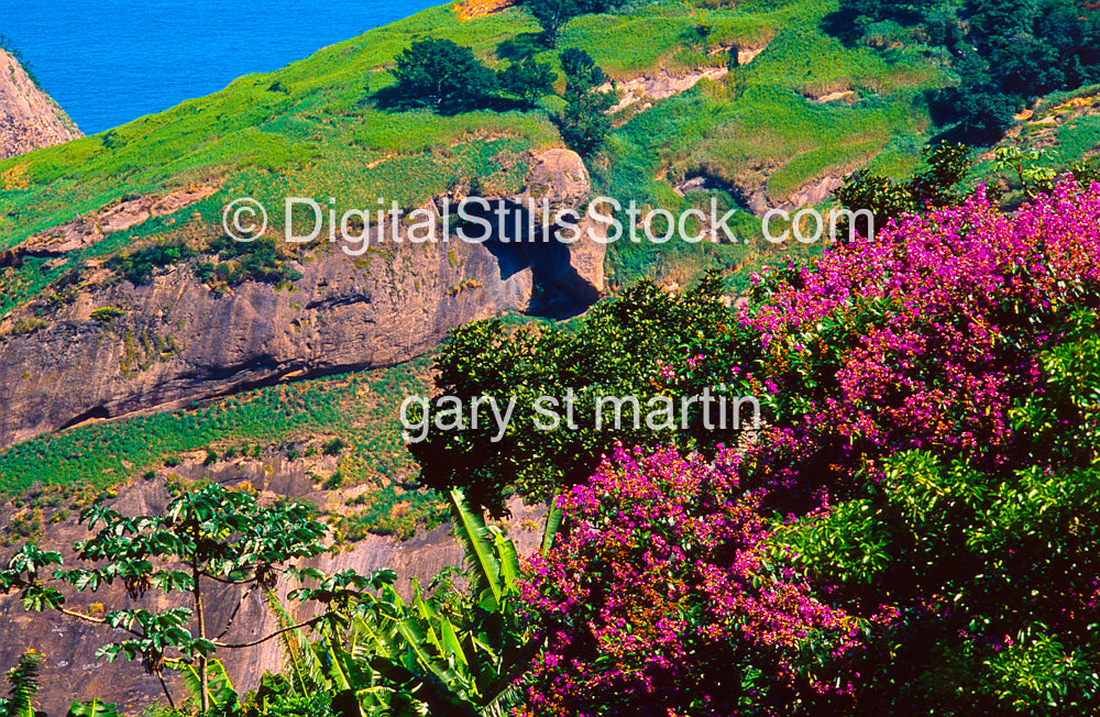 Hilly landscape with pink flowers and a clear blue sky