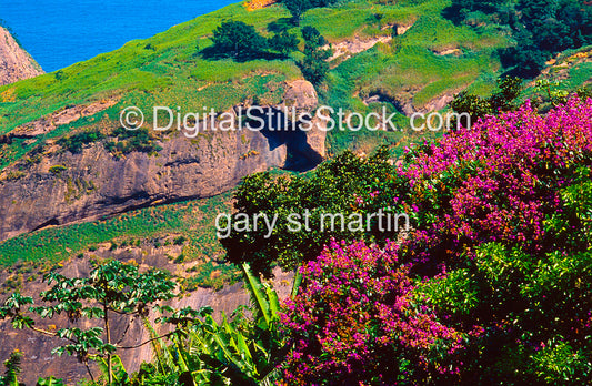 Hilly landscape with pink flowers and a clear blue sky