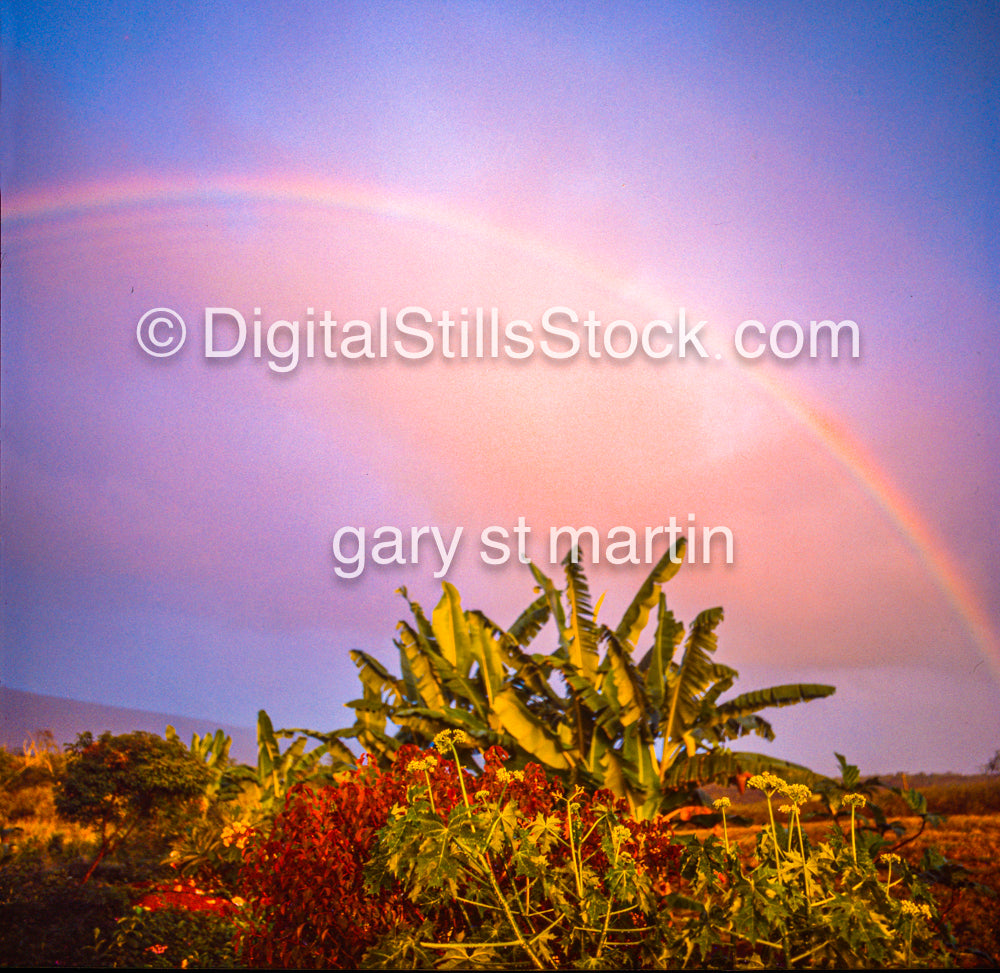 Rainbow during Golden Hour, Hawaii, analog sunset