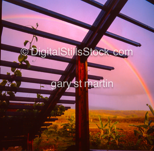 Looking at a rainbow, Hawaii, analog sunset
